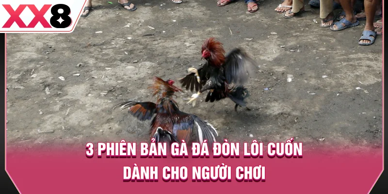 3 phiên bản gà đá đòn lôi cuốn dành cho người chơi